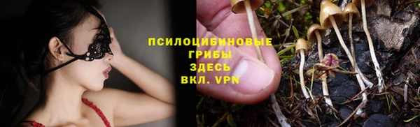 прущая мука Белокуриха
