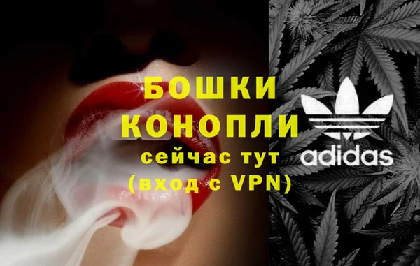 ГАЛЛЮЦИНОГЕННЫЕ ГРИБЫ Белоозёрский