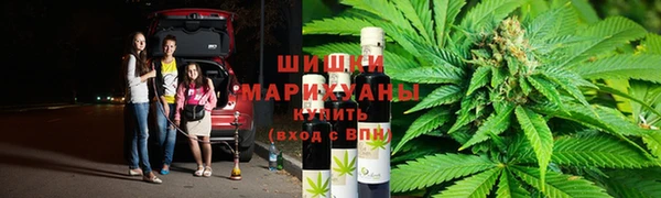 прущие крисы Балахна