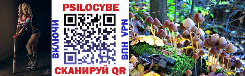 Псилоцибиновые грибы мухоморы  ОМГ ОМГ как войти  Гдов  даркнет сайт 